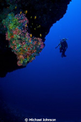 Shot in the Maldives in April, 2009. by Michael Johnson 